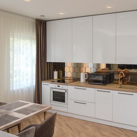 Roof Terrace Apartment Panevėžys Εξωτερικό φωτογραφία